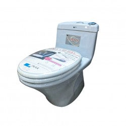 Bàn cầu một khối Inax C-900VN ( Xanh Nhạt )