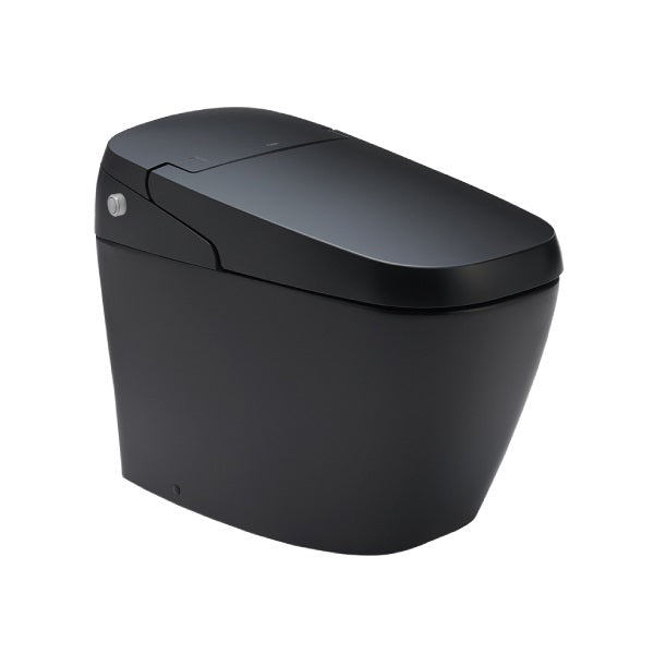 Bàn cầu điện tử Inax AC-G216VN/BKG